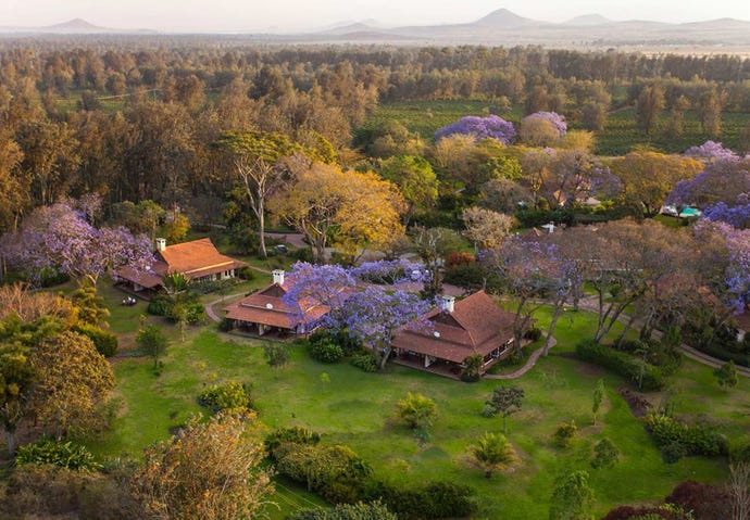 The property of Legendary Lodge in Arusha
