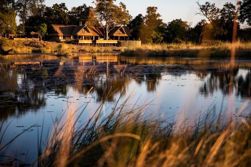 Elevated luxury safari suite with private deck overlooking Linyanti River, featuring plunge pool and outdoor lounge at golden hour