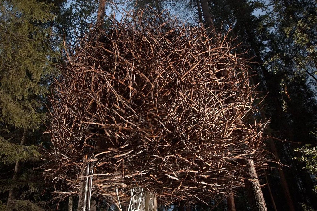 Suspended high in Swedish forest, mirrored Bird's Nest suite blends camouflaged architecture with natural woodland surroundings, reflecting trees and sky seamlessly