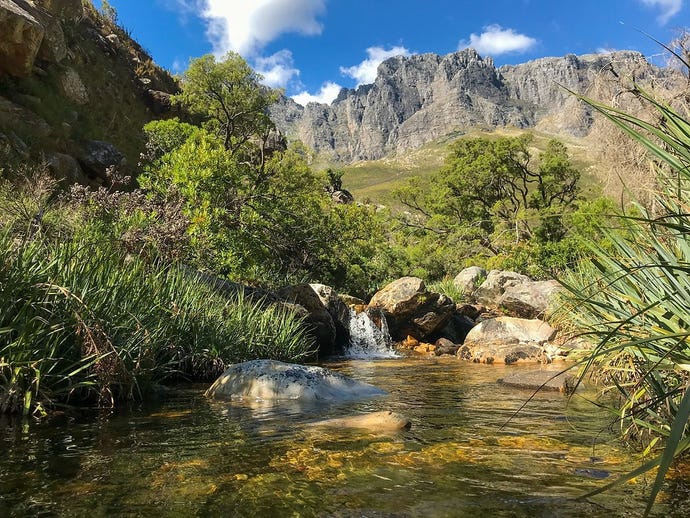 Explore the scenic rivers in the Stellenbosch and Franschhoek areas for some fly fishing.
