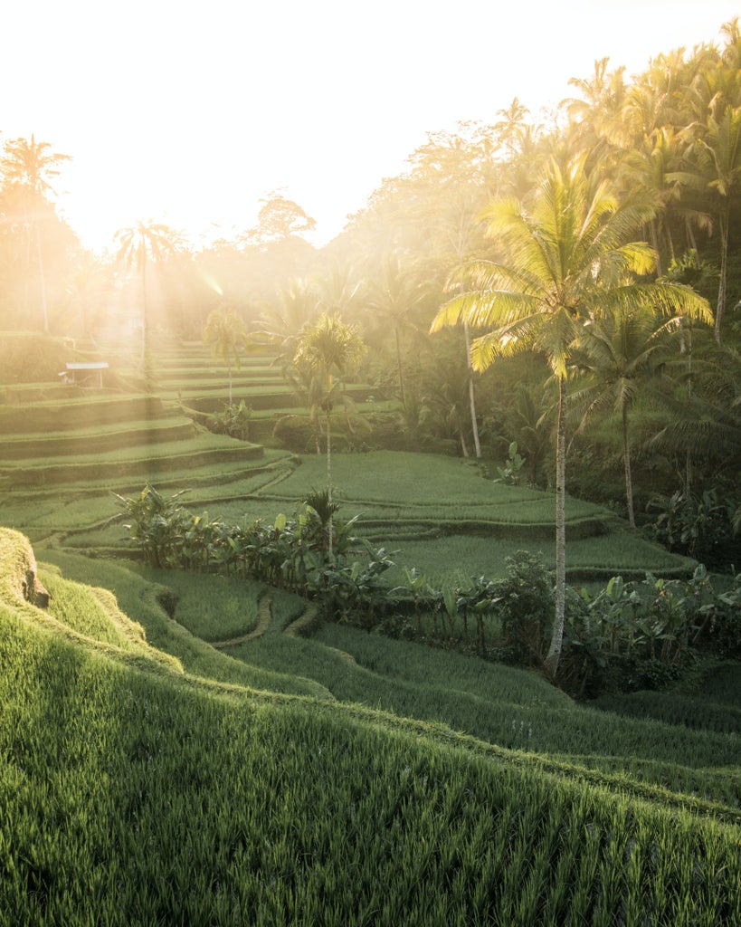 Luxurious infinity pool overlooking lush Balinese jungle and traditional rice terraces at sunset, with tropical flora framing the view