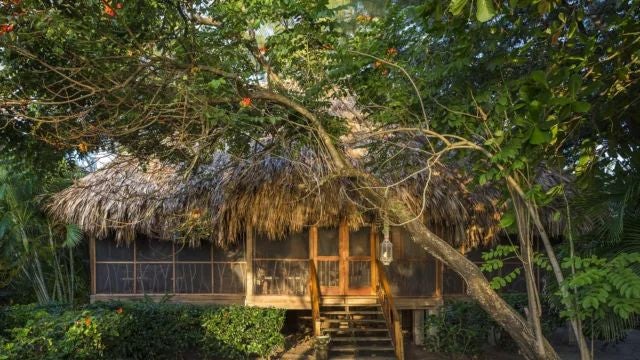 Elegant rustic bedroom with wooden furnishings, soft white linens, and tropical greenery framing a serene view at Turtle Inn's Jardin Escondido retreat in Argentina.