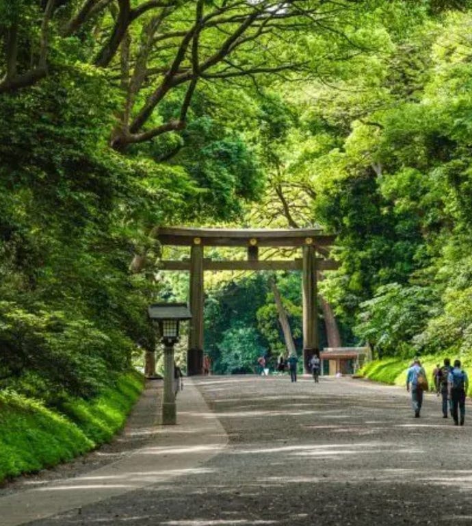 The Gates of Meiji Shrine
