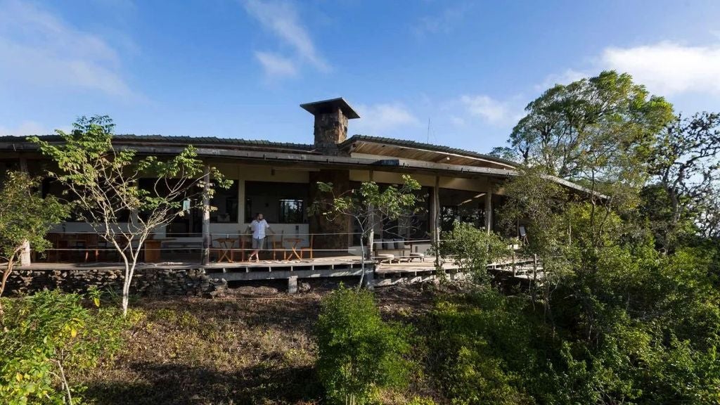 Luxurious eco-lodge nestled in lush Galapagos highlands, featuring modern safari-style tents with panoramic views of verdant landscape and distant ocean.