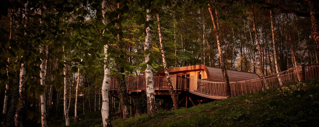 Luxurious wooden treehouse room with floor-to-ceiling windows overlooking lush forest, modern minimalist design with warm neutral tones and elegant furnishings