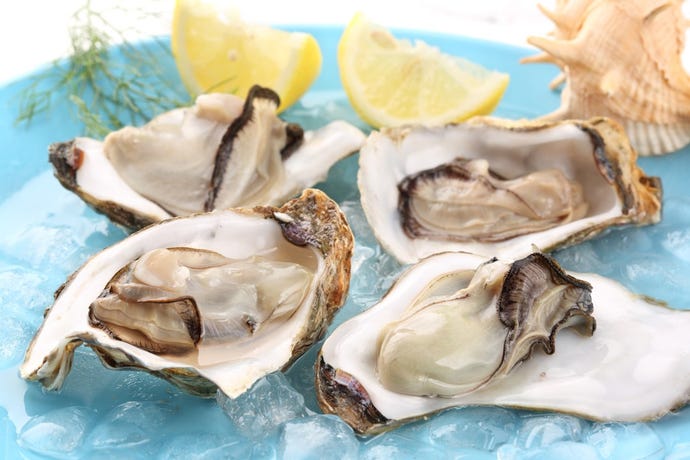 Fresh Portuguese oysters