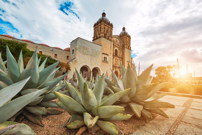 Santo Domingo Cathedral in Oaxaca