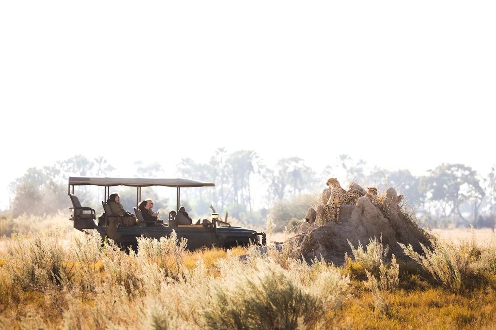 Luxurious safari tents nestled among acacia trees, overlooking a serene Botswana wetland with wildlife grazing in golden afternoon light at Scenset Lediba Camp.