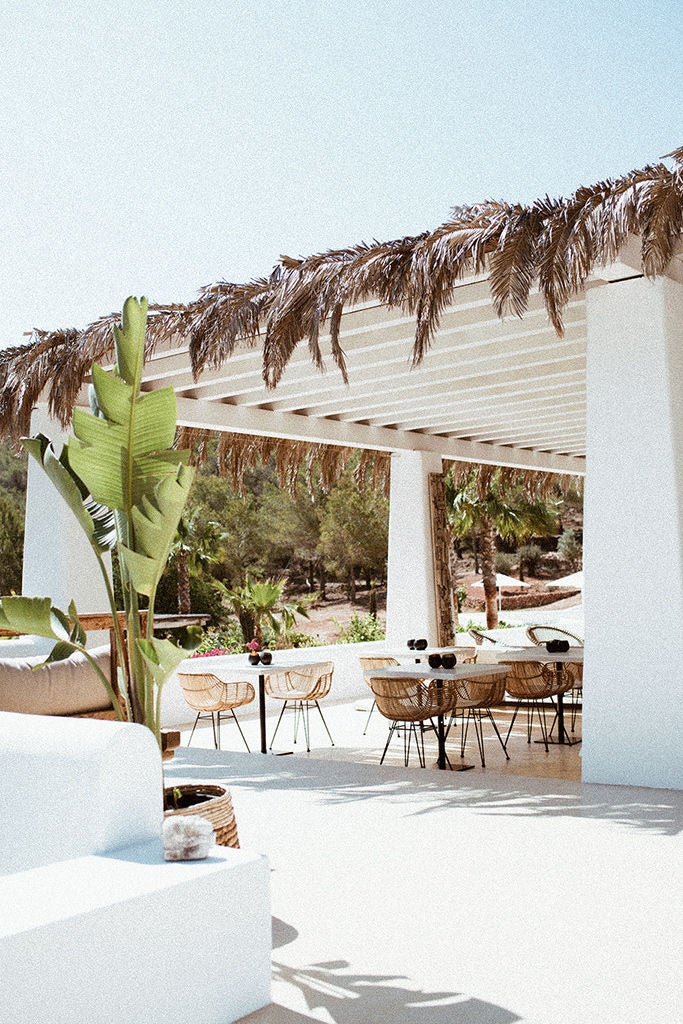 Luxurious white Mediterranean villa with rustic wood accents, surrounded by lush palm trees and native vegetation against blue Ibizan sky