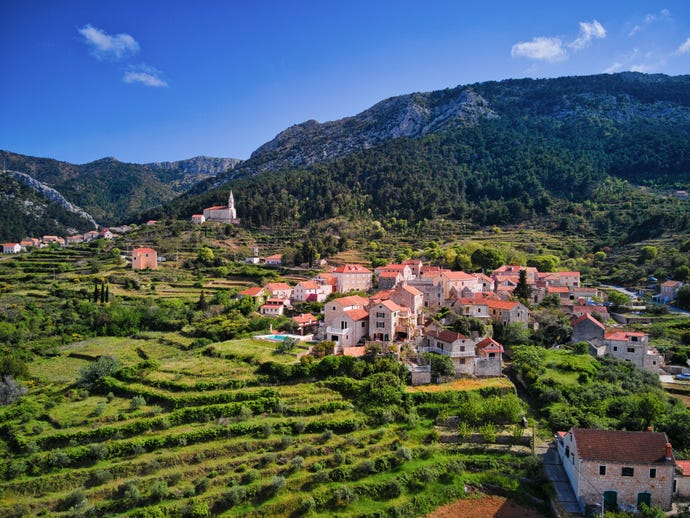 The lush landscape of Hvar
