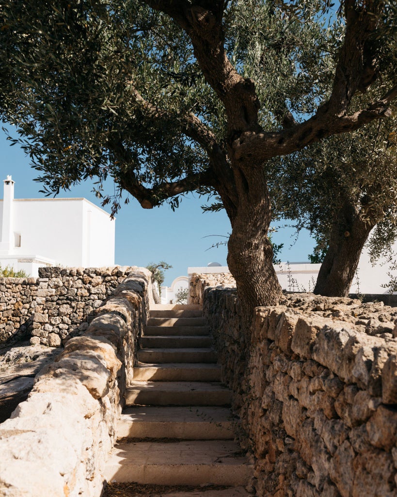 Rustic stone villa with white-washed walls nestled in lush Italian countryside, surrounded by olive groves and vibrant Mediterranean landscape at sunset