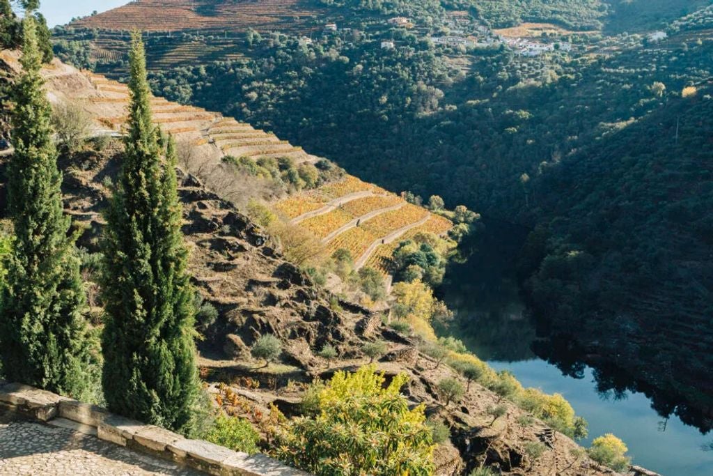 Historic luxury hotel nestled in terraced vineyards along Douro River, featuring classic stone architecture and manicured gardens