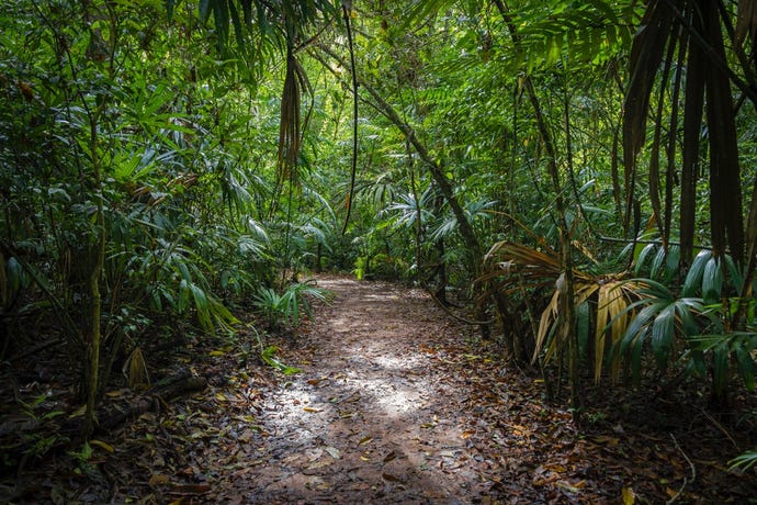 The hills here are unexcavated Mayan temples continuing their thousand-year slumber