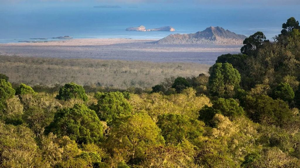 Luxurious eco-lodge nestled in Galapagos highlands, with rustic-chic wooden deck overlooking lush volcanic landscape and distant Pacific horizon.