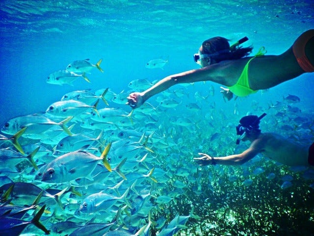 Snorkeling Belize
