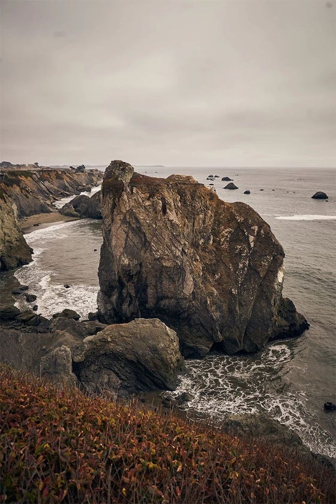 Luxurious coastal retreat at scenset Lodge, nestled among pine trees with panoramic views of Bodega Bay's rugged shoreline and serene ocean horizon.