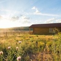 Rustic wooden cabin bedroom with plush bedding, warm neutral tones, mountain view window, and elegant wooden furniture in scenic ranch setting