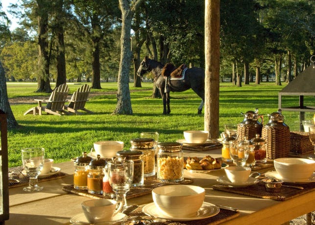 Lunch on the farm
