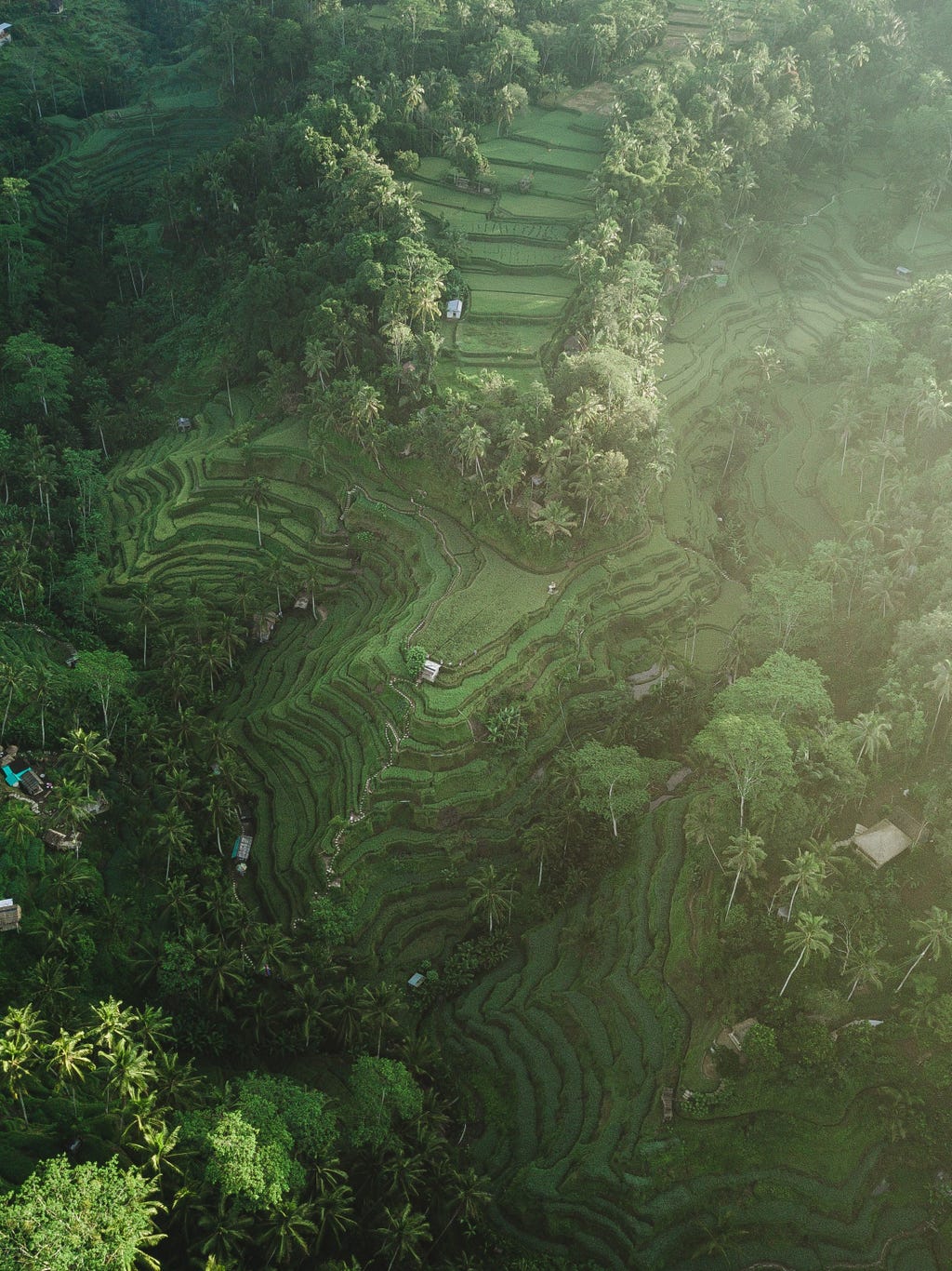 Thousands of Islands and Infinite Adventures in Indonesia