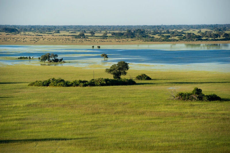 Elevated wooden villa on stilts above wetlands, with private deck and infinity pool overlooking lush Okavango Delta landscapes