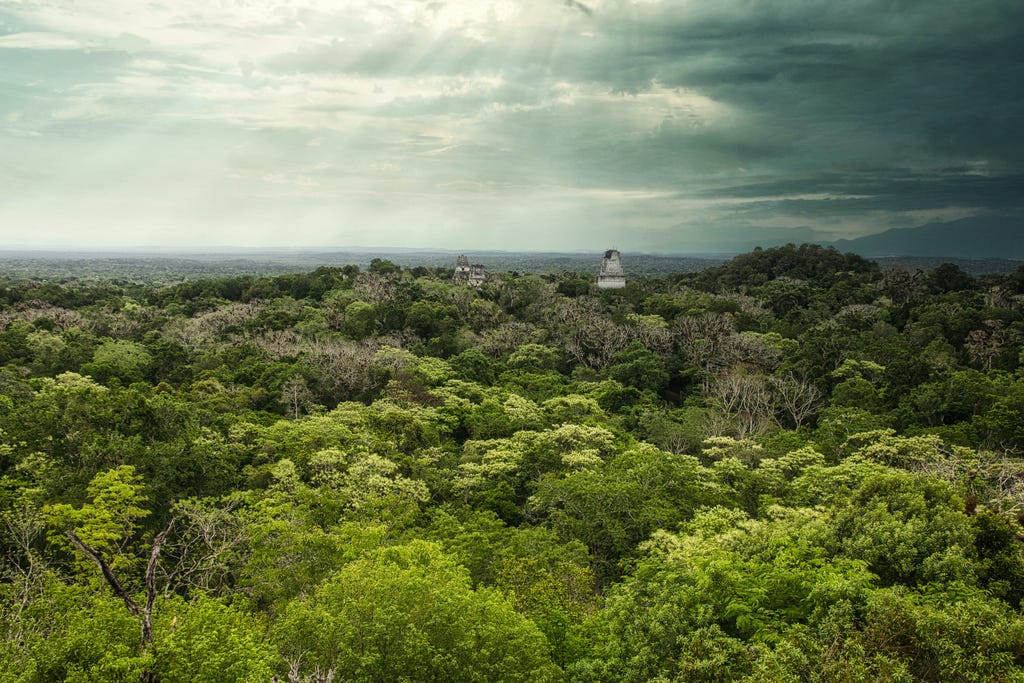 The Hidden Treasures of Guatemala's Maya Biosphere Reserve