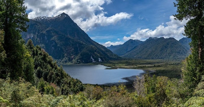 View of Lago Negro in Pumalín Park