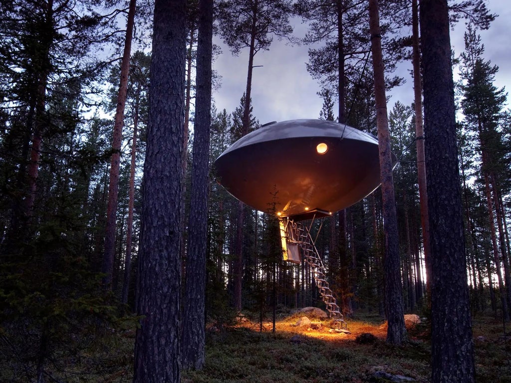 Mirrored glass exterior of ultra-modern Treehotel suspended cabin nestled in pine forest, reflecting surrounding Swedish woodland landscape at dusk