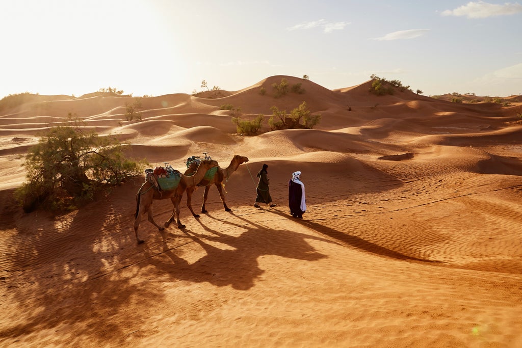 Golden-hued desert landscape with silhouetted camels and riders traversing sandy dunes at dawn, showcasing a luxurious Moroccan sunrise adventure