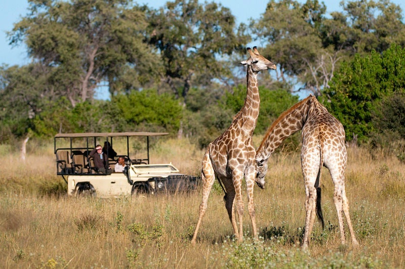 Elevated luxury safari tent overlooking Savuti plains at dusk, with canvas walls, private wooden deck and warm ambient lighting