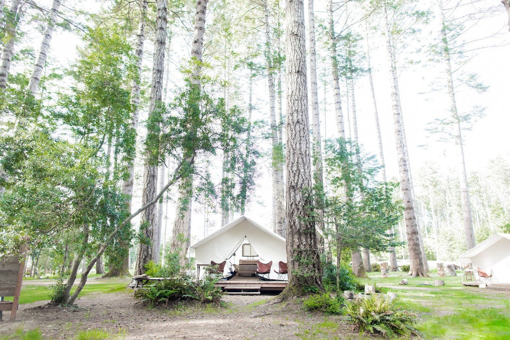 Elevated luxury campsite nestled in redwood forest, featuring safari-style tent with private deck, string lights and plush furnishings