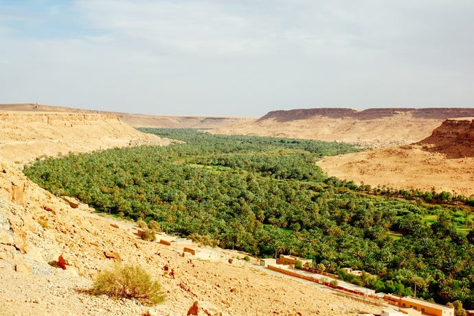 A desert oasis awaits to be discovered