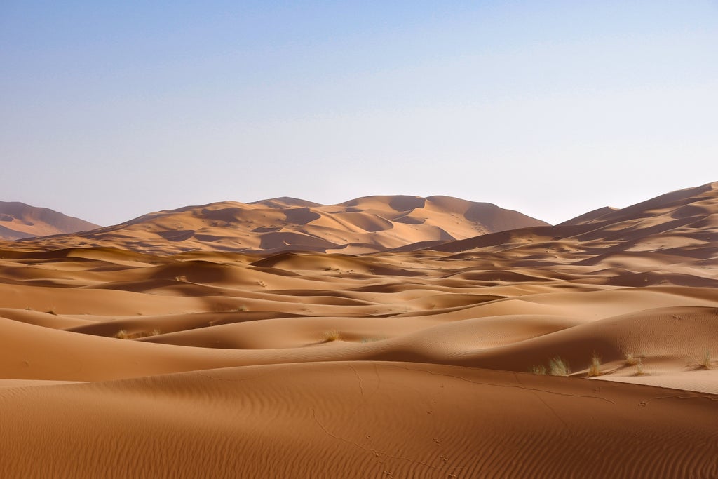 Elegant Moroccan desert camp at sunset with luxurious white tents, traditional rugs, and lanterns against golden sand dunes backdrop