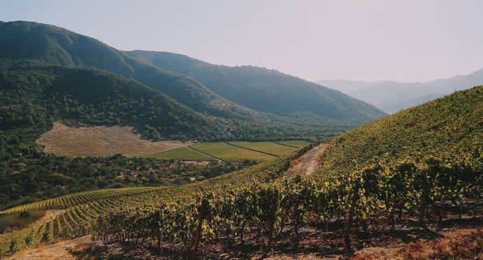 VIK's vineyards in the valley of Millue
