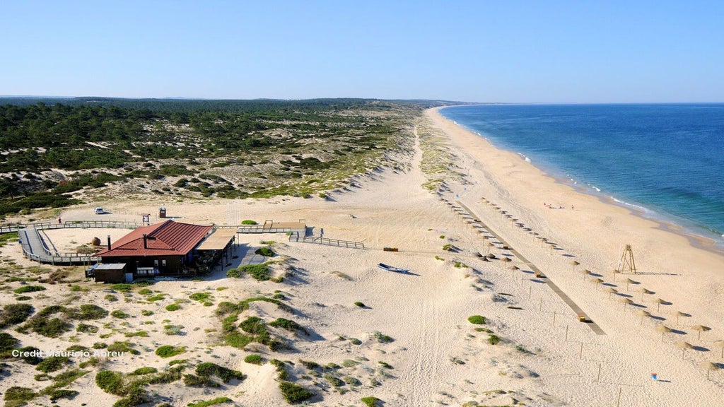 Luxurious minimalist eco-resort nestled in Comporta's pristine landscape, featuring natural wood, white walls, and serene infinity pool overlooking sandy terrain