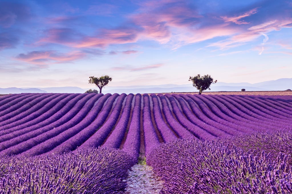 Enjoy Savoir Vivre in France