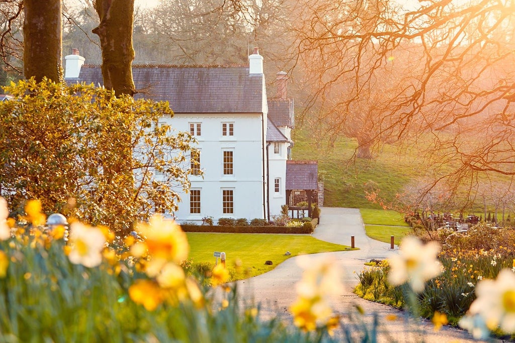 Elegant stone facade of luxurious boutique hotel nestled in lush Welsh countryside, featuring classic architecture and manicured gardens