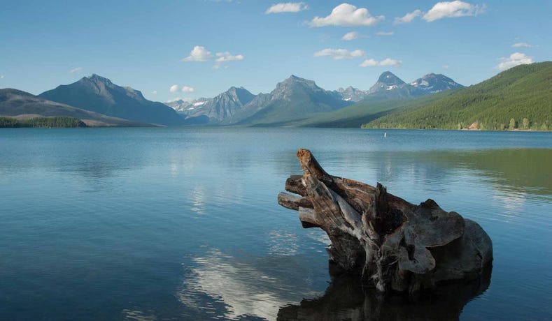 Lake McDonald
