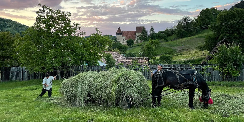 Rustic wooden Romanian guesthouse with stone walls, nestled in lush Transylvanian landscape, featuring elegant traditional architecture and inviting warmth.